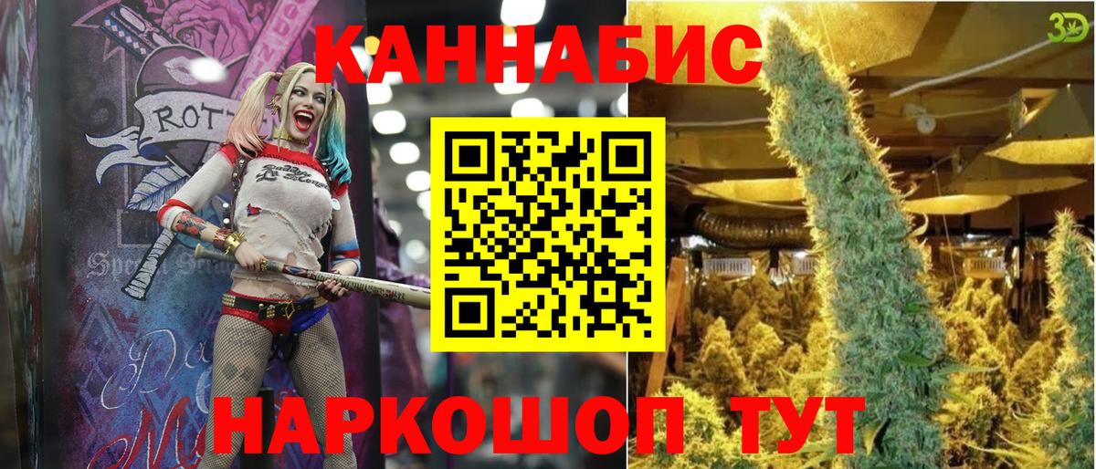 Шишки марихуана конопля Королёв